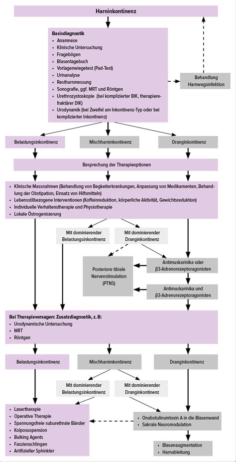 Schema zur Diagnostik und Behandlung gynäkologischer Krebserkrankungen