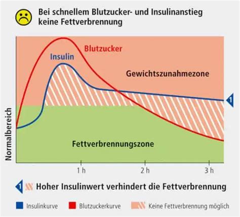 Grafik, die den Blutzuckerspiegel während der Schwangerschaft veranschaulicht