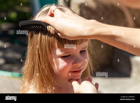 Ein Baby mit schönen Locken, das mit einem grobzinkigen Kamm gekämmt wird.