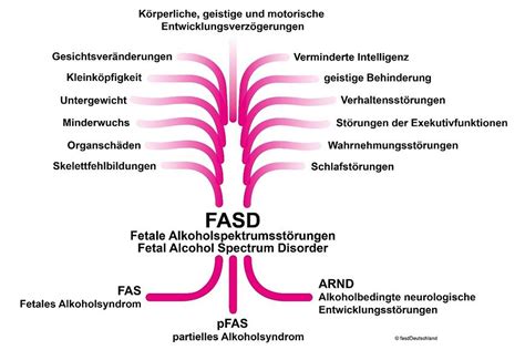 Grafik, die die Entstehung von FASD durch Alkoholkonsum während der Schwangerschaft veranschaulicht.