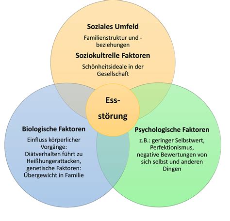 Grafik, die die verschiedenen Einflussfaktoren (biologisch, familiär, individuell, soziokulturell) auf die Entstehung von Essstörungen darstellt.