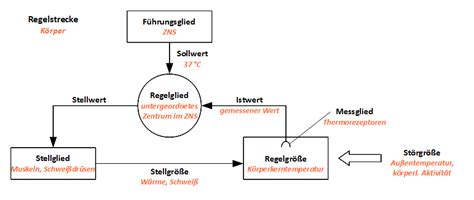 Schema zur Temperaturregulierung von Alpakafasern