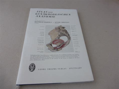 Schema der gynäkologischen Anatomie mit Hervorhebung der betroffenen Bereiche bei gynäkologischen Erkrankungen