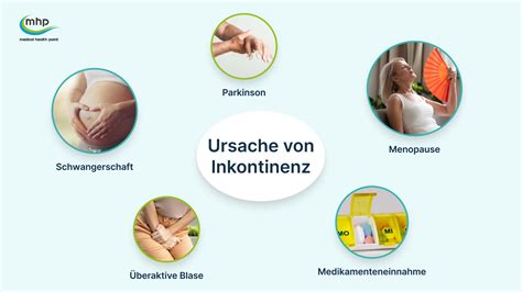 Infografik zur Anatomie des Beckenbodens und den Ursachen von Inkontinenz und Senkungsbeschwerden