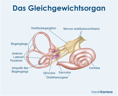 Detailansicht der Tascheneingriffe und des Hosenbundes der 