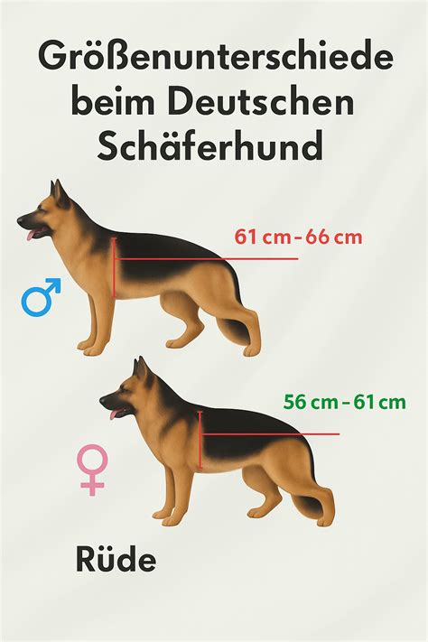 Illustration, die den Größenunterschied und das Gewicht einer Babywanne im Vergleich zu einer Tragetasche darstellt