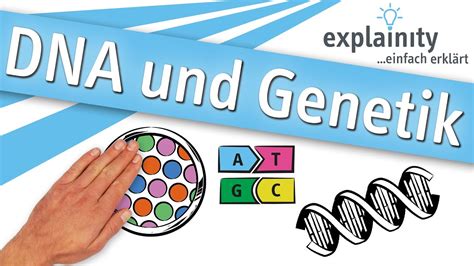 Illustration einer DNA-Helix, die symbolisch für vertauschte genetische Informationen steht
