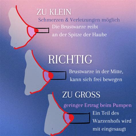 Illustration, die die korrekte Passform der Brusthaube und des Still-BHs zeigt