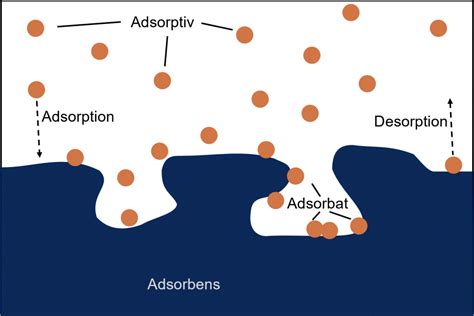 Schema, das die Adsorption von Giftstoffen durch Aktivkohle im Magen-Darm-Trakt darstellt
