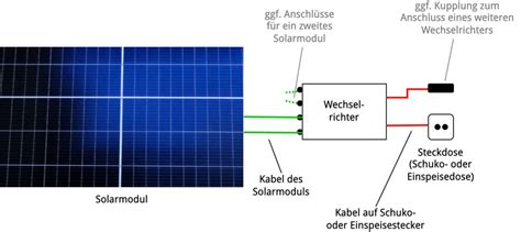 Schema des Aufbaus eines Farnwedels mit Sporenkapseln auf der Unterseite