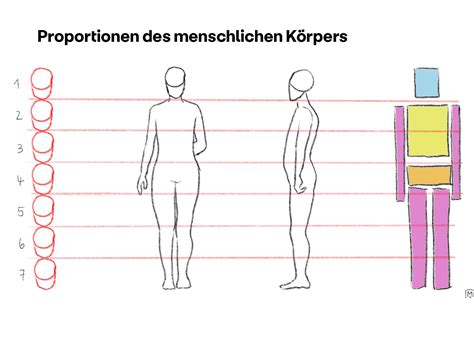 Schema zur Körperproportion eines Säuglings mit Betonung des großen Kopfes im Verhältnis zum Körper