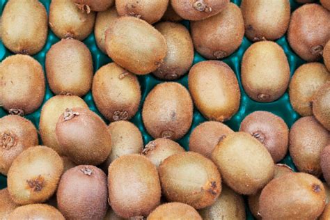 Vergleich von großfruchtigen und Mini-Kiwi-Früchten