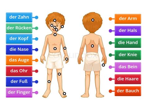 Grafik mit verschiedenen Körperteilen, die mit kleineren Symbolen für Verletzungen markiert sind (z.B. ein Blitz für Zerrung, ein Kreuz für Schmerz).