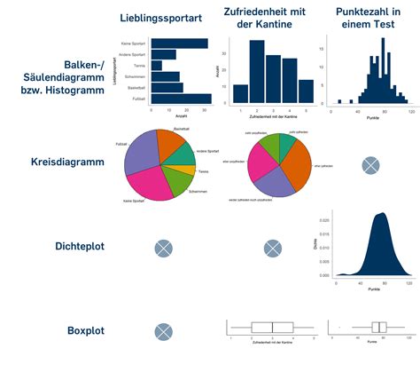 Grafische Darstellung der verschiedenen Arten von Vorhofseptumdefekten