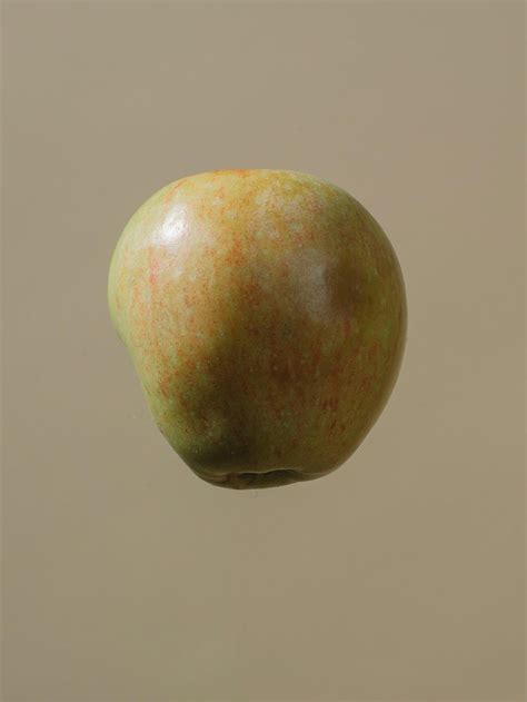 Detailaufnahme einer braun verfärbten Rollladen-Motorkabelleitung