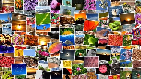 Collage: Verschiedene Praxisbedarf-Artikel