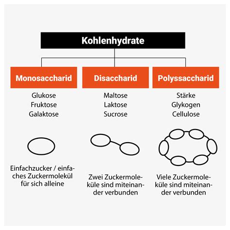 Grafik zur Einteilung von Fiebergraden