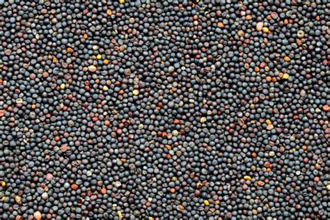 Nahaufnahme von Kirschkernen und Raps als Füllmaterial