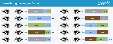 Schema zur Melaninproduktion und ihrer Auswirkung auf die Augenfarbe