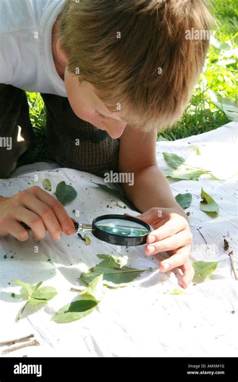 Kind betrachtet mit einer Lupe einen Käfer in einem Becherglas