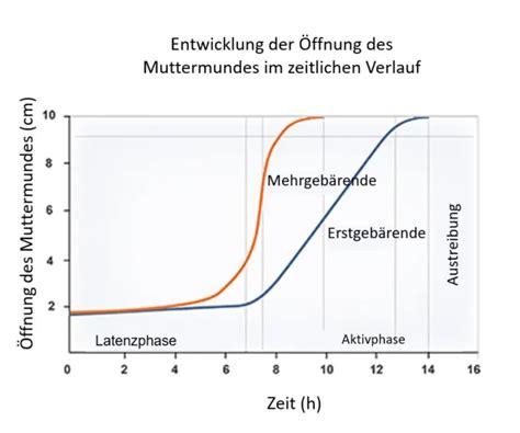Infografik zur Latenzphase der Geburt mit Definition und Empfehlungen