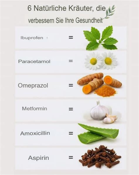 Infografik: Alternative Behandlungsmethoden bei gynäkologischen Beschwerden