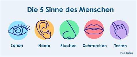 Illustration, die die Sinne eines Kindes darstellt, die durch Bildschirmmedien vernachlässigt werden.