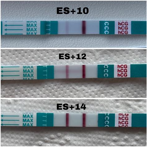 Vergleich von verschiedenen Schwangerschaftstests, darunter Z1 Pharma, mit unterschiedlichen Ergebnissen