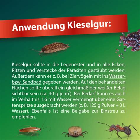 Anwendung von Kieselgur als biologisches Schädlingsbekämpfungsmittel in der Landwirtschaft.