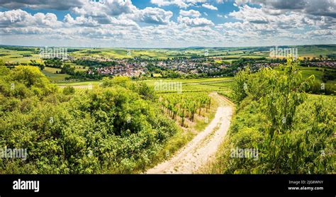 Panoramafoto von Weinbergen in Rheinhessen mit einem Weinbergg turm