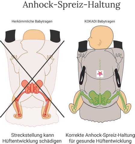 Schema, das die korrekte Anhock-Spreiz-Haltung des Babys im Hüftsitz zeigt.