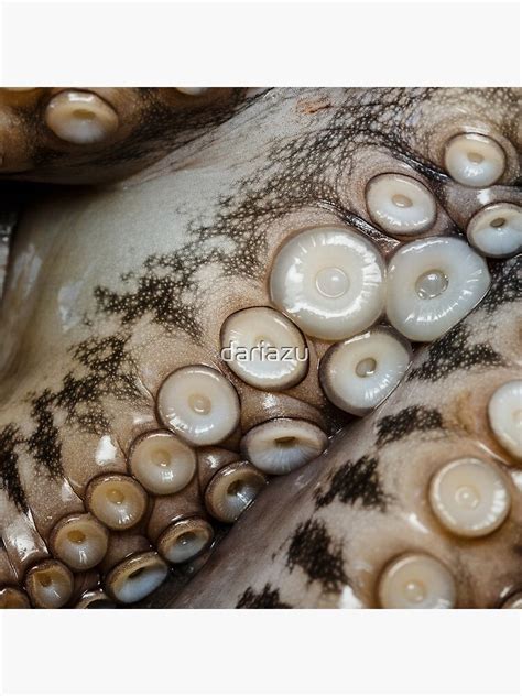 Nahaufnahme von Süßkartoffelwürfeln, bereit zur Zubereitung von Babybrei