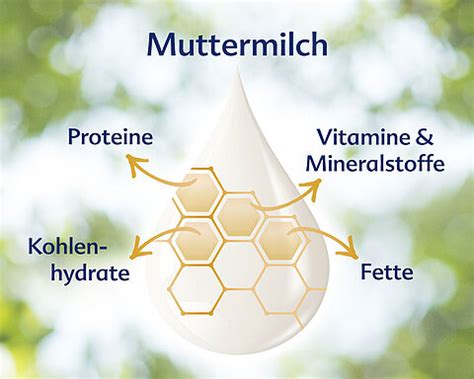 Grafik, die die Hauptbestandteile von Muttermilch und ihre Funktionen zeigt