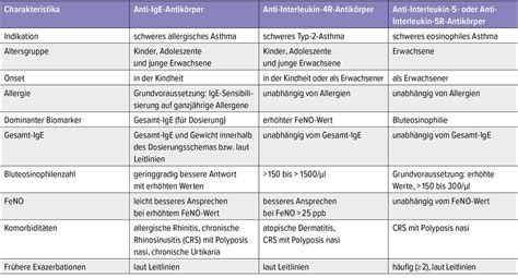 Schema zur Auswahl von Haustierbett-Materialien