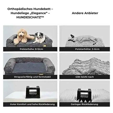 Vergleich von orthopädischen und Standard-Hundebetten