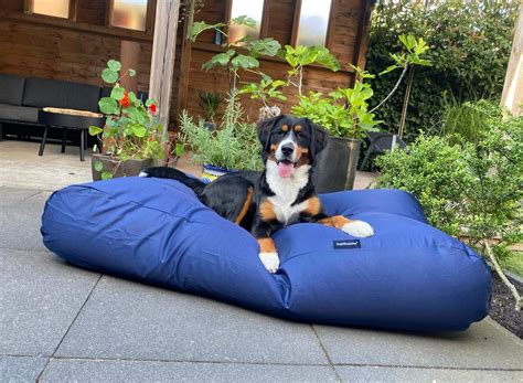 Übersicht verschiedener Outdoor-Hundebetten