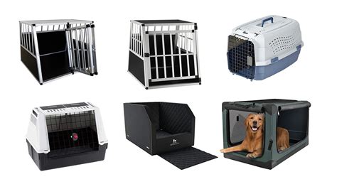 Vergleich von Hundebetten, Hundeboxen und Hundesitzen für das Auto