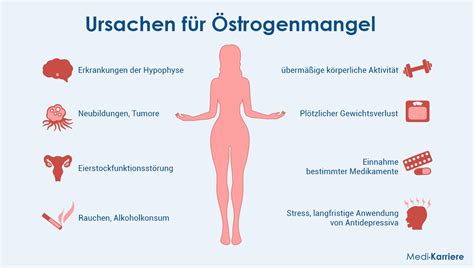 Schema, das die Funktionsweise des NuvaRings und die Hormone Östrogen und Gestagen zeigt