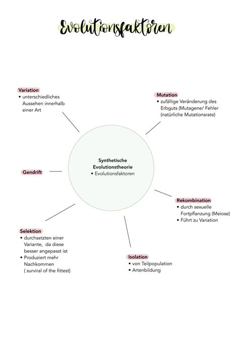 Vergleich von natürlichen und synthetischen Embryonenmodellen