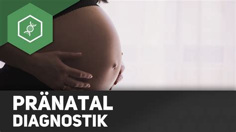 Schema, das die verschiedenen Stufen der Pränataldiagnostik und die jeweiligen Zeiträume im Schwangerschaftsverlauf zeigt.