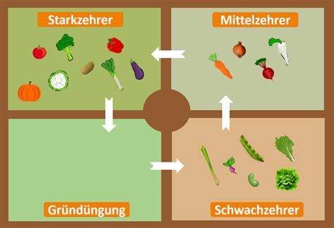 Schema zur Fruchtfolge mit verschiedenen Kulturen.