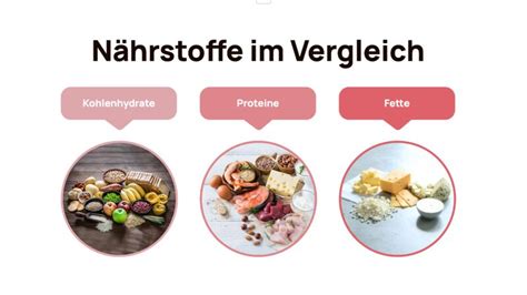 Infografik: Hauptbestandteile und ihre Funktionen im Kolostrum