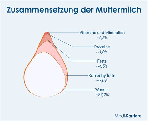 Vergleichsgrafik: Zusammensetzung von Kolostrum, Übergangsmilch und reifer Muttermilch