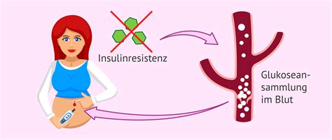 Schema des Hormonstoffwechsels während der Schwangerschaft mit Fokus auf Insulinresistenz