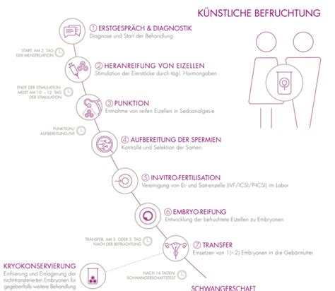 Infografik: Ablauf der Genehmigung einer künstlichen Befruchtung durch die Krankenkasse