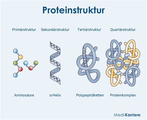 Schema des Aufbaus eines Babybettes mit hervorgehobenen Sicherheitspunkten