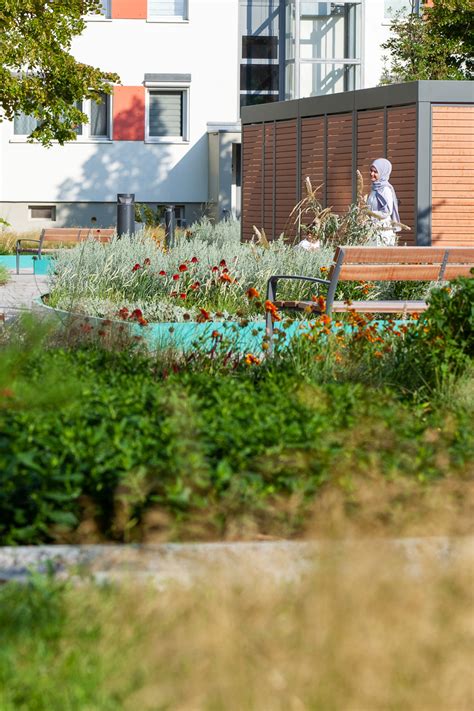 Foto des Rhöner Geburtshauses, eingebettet in eine naturnahe, parkähnliche Umgebung