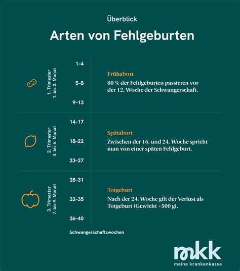 Infografik: Zeitliche Einteilung von Schwangerschaftsverlusten mit Definitionen von Fehlgeburt, später Fehlgeburt und Totgeburt