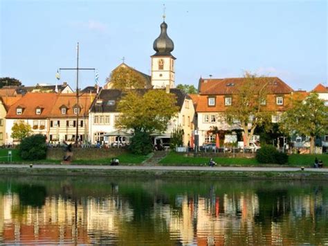 Panoramablick auf Marktheidenfeld mit Fachwerkhäusern und dem Main
