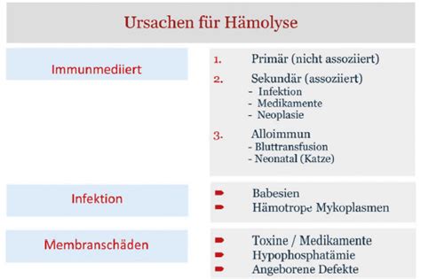 Diagramm, das die verschiedenen Ursachen für Hämolyse bei Neugeborenen aufzeigt